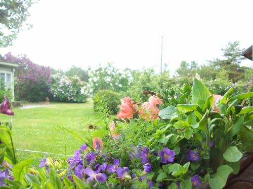 Hostal Kelluka Holiday House