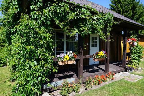 Hostal Kelluka Holiday House