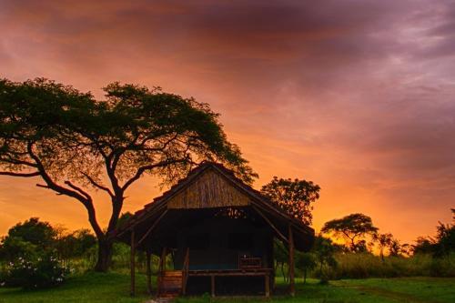Lodge Bwana Tembo Safari Camp