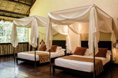 Lodge Tambopata Research Center