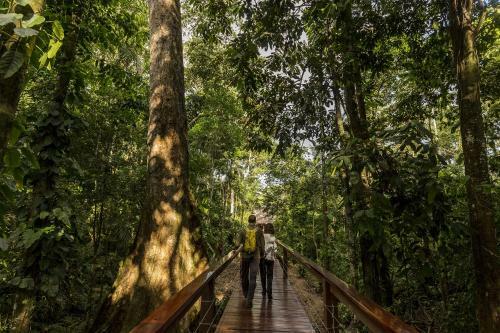Lodge Tambopata Research Center