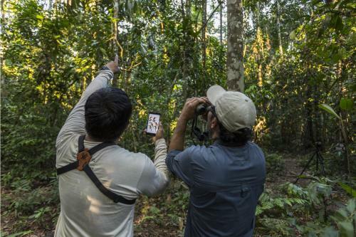 Lodge Tambopata Research Center