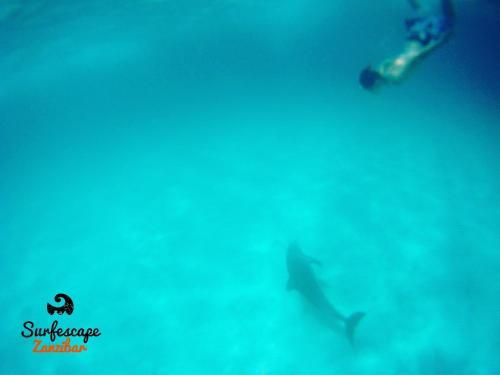 Apartamento Surfescape Village Zanzibar