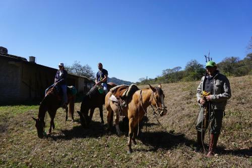 Hostal Finca Las Margaritas