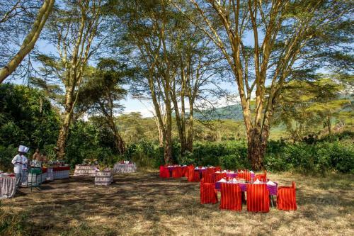 Ngorongoro Serena Safari Lodge