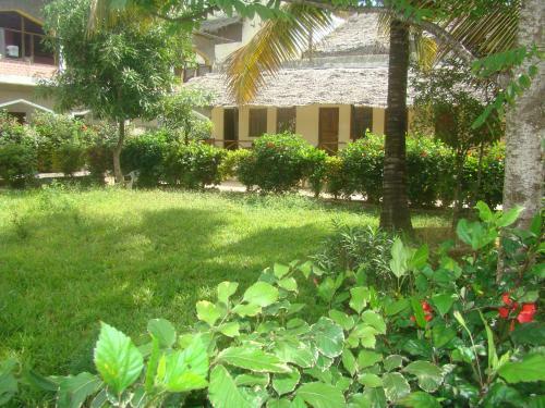 Bed & Breakfast Yellow Beach Bungalow
