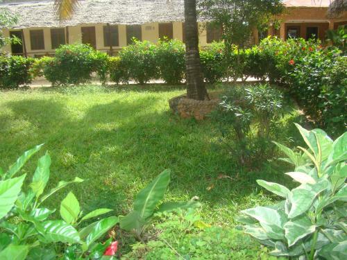 Bed & Breakfast Yellow Beach Bungalow