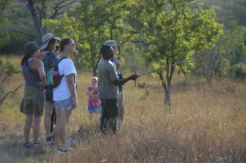 Lodge Kisampa Bush Retreat