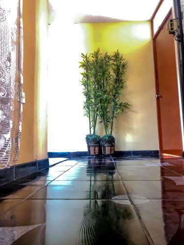 Albergue Hospedaje Familiar B&B Virma