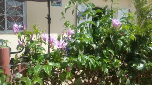 Apartamento Keur Flamant