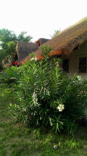 Les Maisons De Marco Senegal