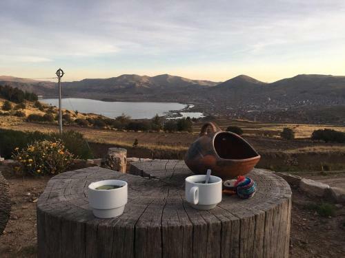 Mirador Del Titikaka