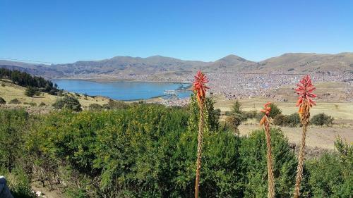 Mirador Del Titikaka