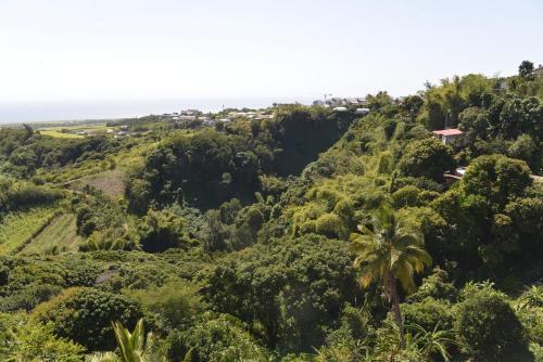 Bed & Breakfast Villa Des Remparts