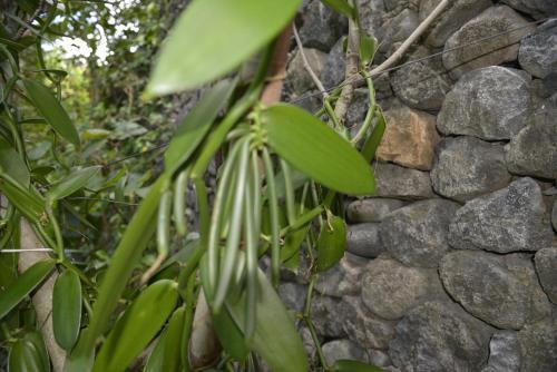 Bed & Breakfast Villa Des Remparts