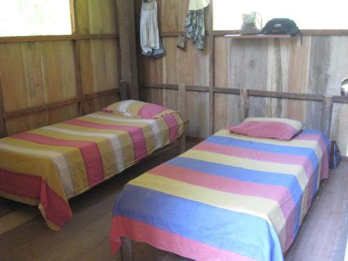 Hostal Lodge Jungle Wolf Expeditions