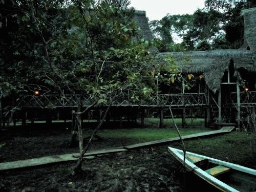 Hostal Lodge Jungle Wolf Expeditions