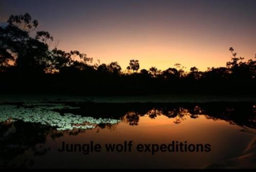 Hostal Lodge Jungle Wolf Expeditions