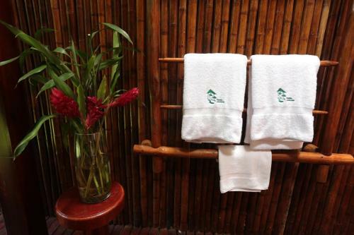 Hostal Posada Amazonas Lodge