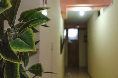 Hostal La Torre Inn