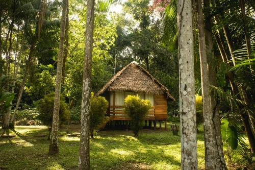 Hostal Wasai Tambopata