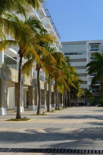 Apartamento 114