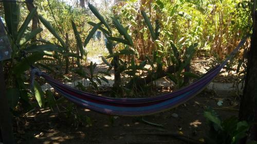 Albergue Hospedaje Ecologico Nahual