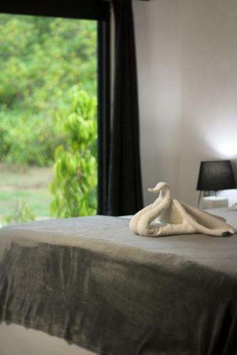 Hotel Show Pony Beach Resort And Suites
