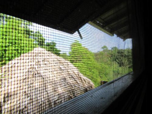 Agroturismo Bluff Nature Cabana