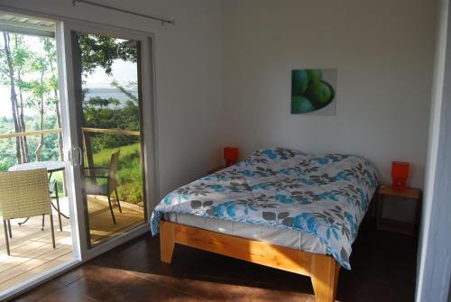 El Nido Del Tuc�n