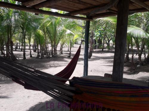 Albergue Hostal Pachamama