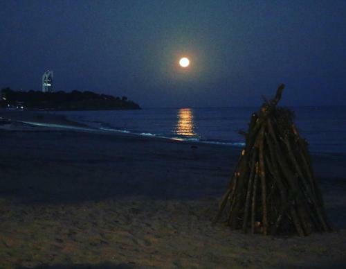 Bed & Breakfast Nico's Beach Panama
