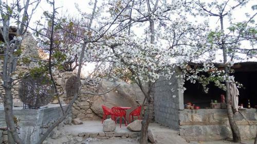 Lodge Grapes Garden