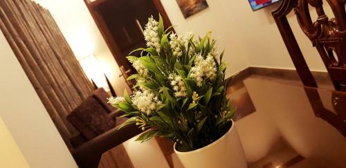 Hayyat Luxury Hotel Apartments