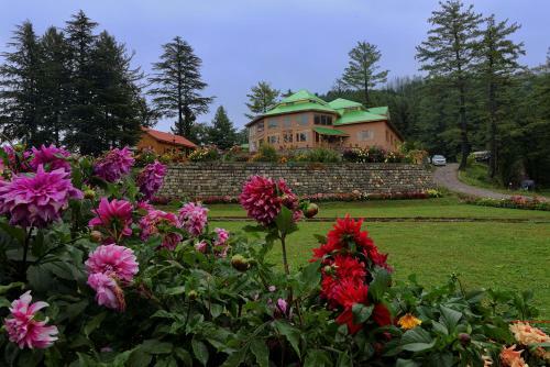 Hotel Arcadian Sprucewoods