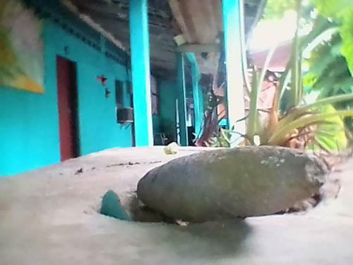 Posada Hostal Dona Mercedes