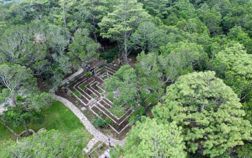 Hotel Boutique Marduk Gardens