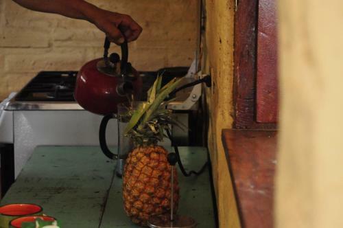 Hostal Los Cocos Beach House, Popoyo