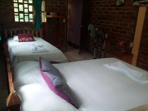 Eco-lodge El Porvenir.