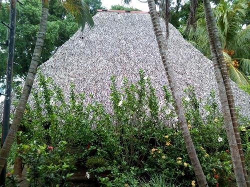 Eco-lodge El Porvenir.
