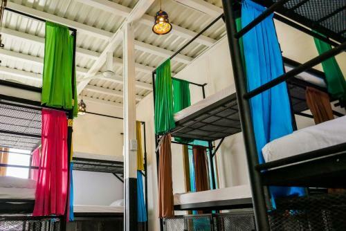 Casa Oro Eco Hostel