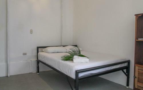 Casa Oro Eco Hostel
