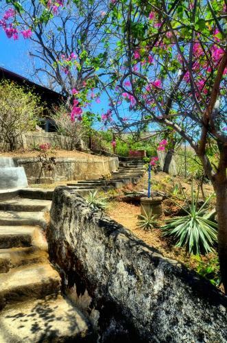 Apartamento Amistad 1, Caba�as Lobolira