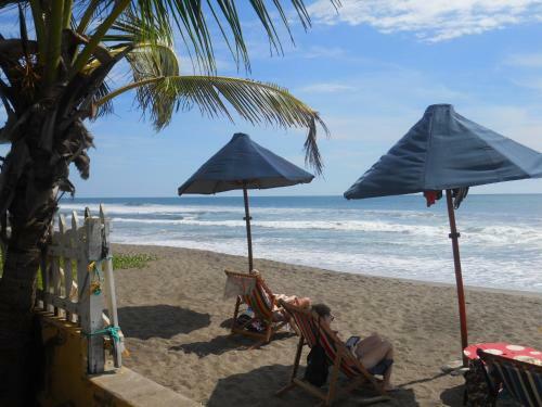 Beach Hostal Oasis