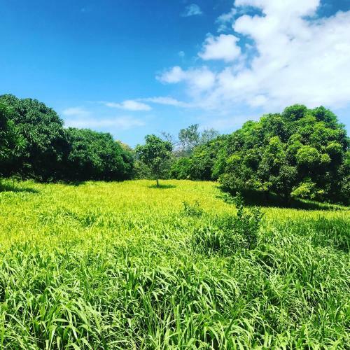 La Finca Esperanza
