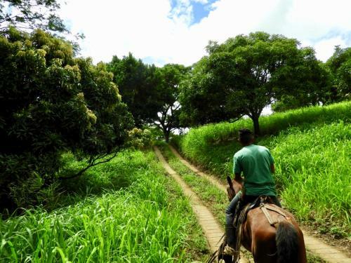 La Finca Esperanza