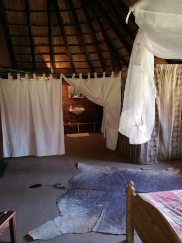 Lodge Farm Robyn Kamanjab