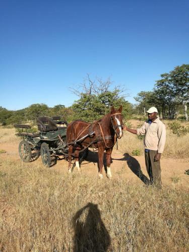 Lodge Farm Robyn Kamanjab
