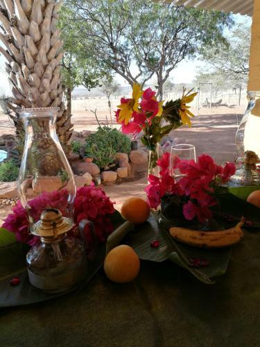 Lodge Farm Robyn Kamanjab