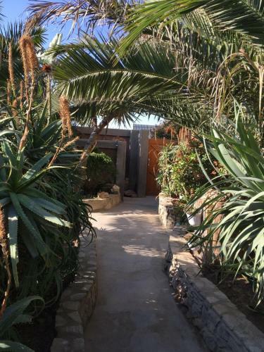 Hostal Tranquility Guest House